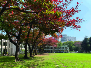 台南應用科技大學