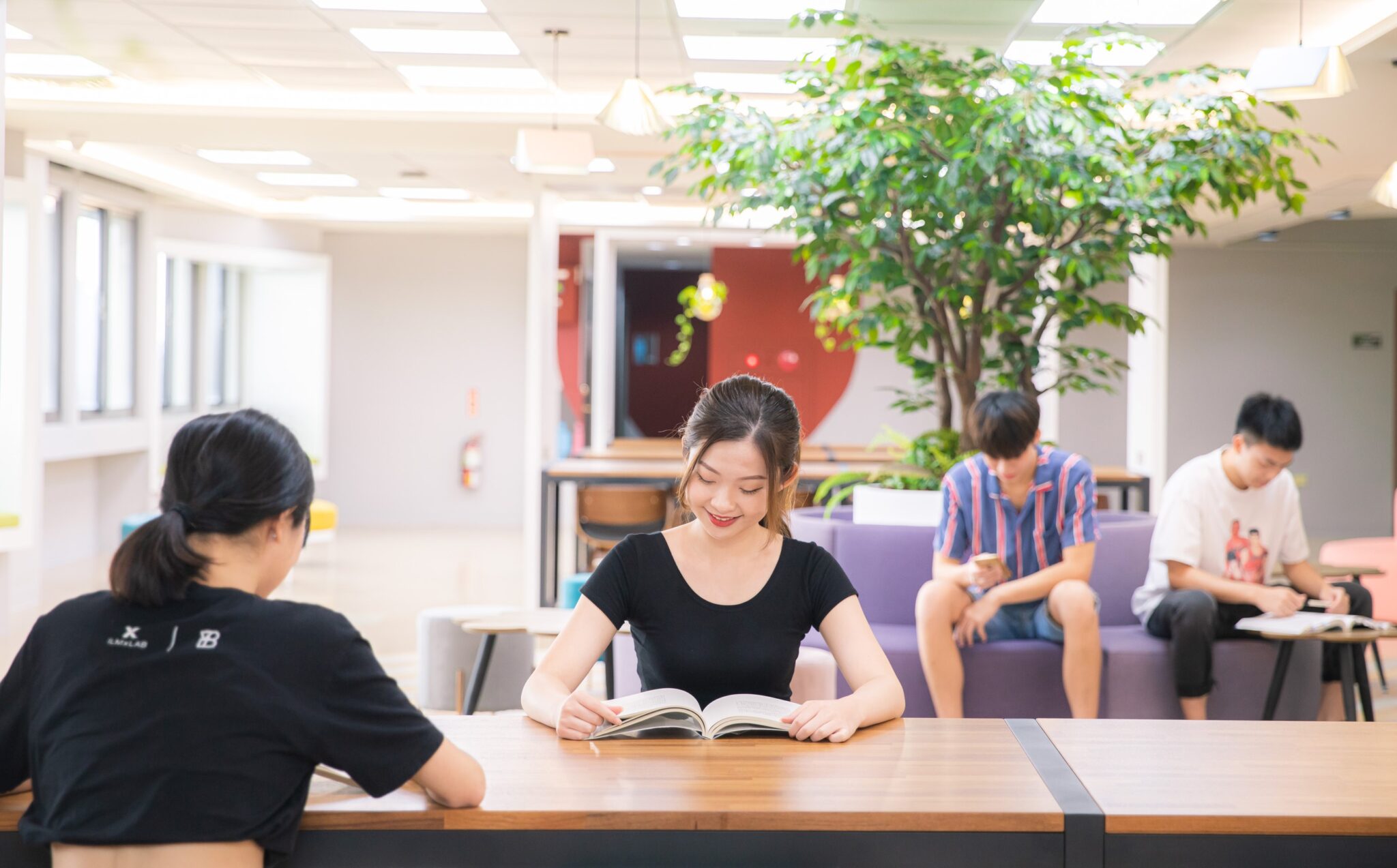 Fu Jen Catholic University – 台灣海外聯合招生委員會