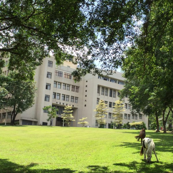 Nursing Building