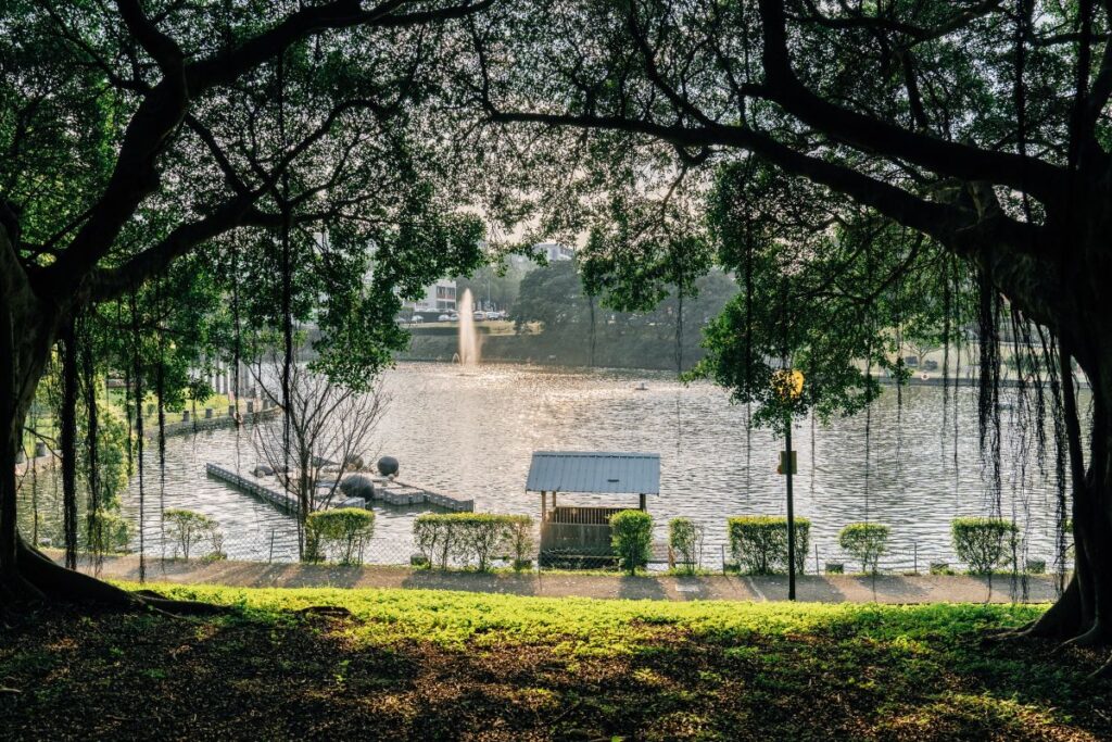Bamboo Lake, Guangfu Campus
