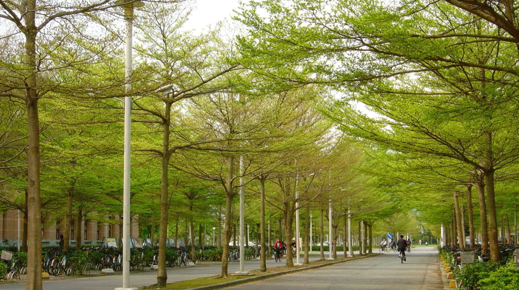 國立東華大學-校園照片