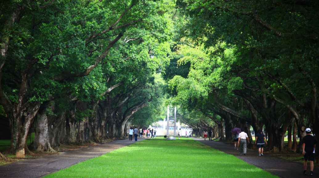 東海大學