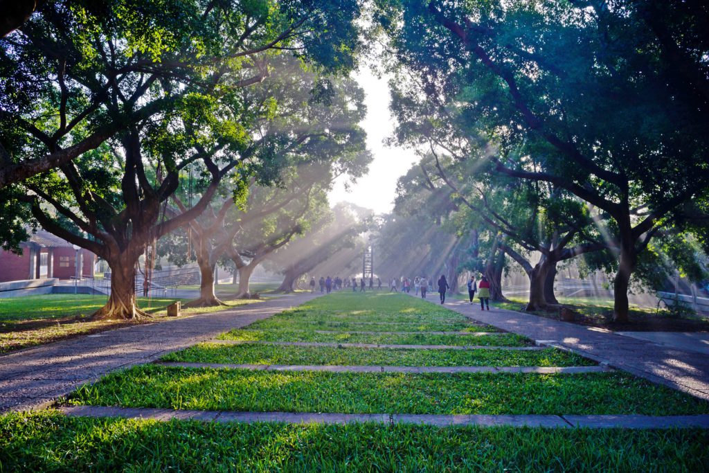 東海大學