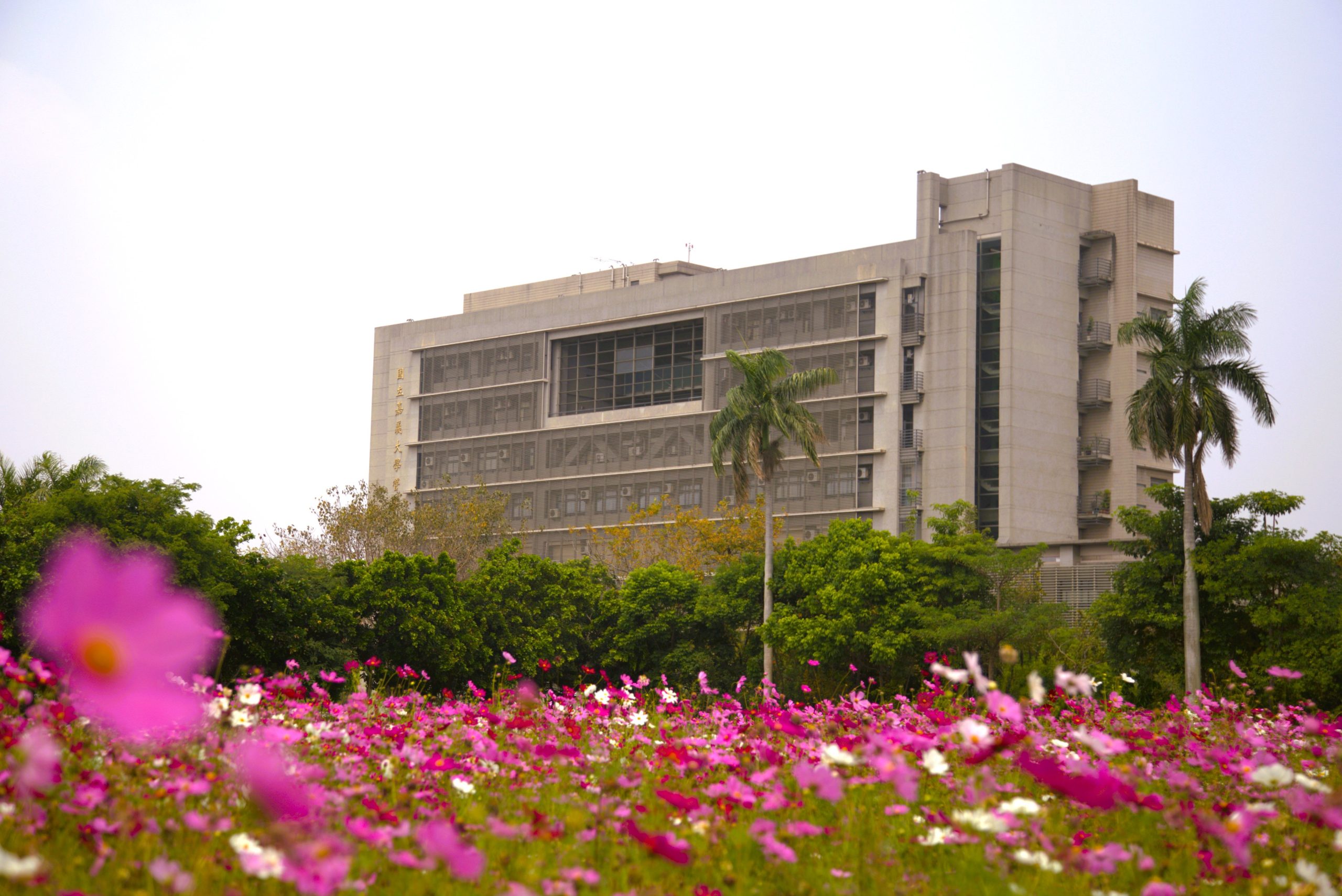 跨國學習體驗　管理學院培育多元跨域永續商業管理之優質人才