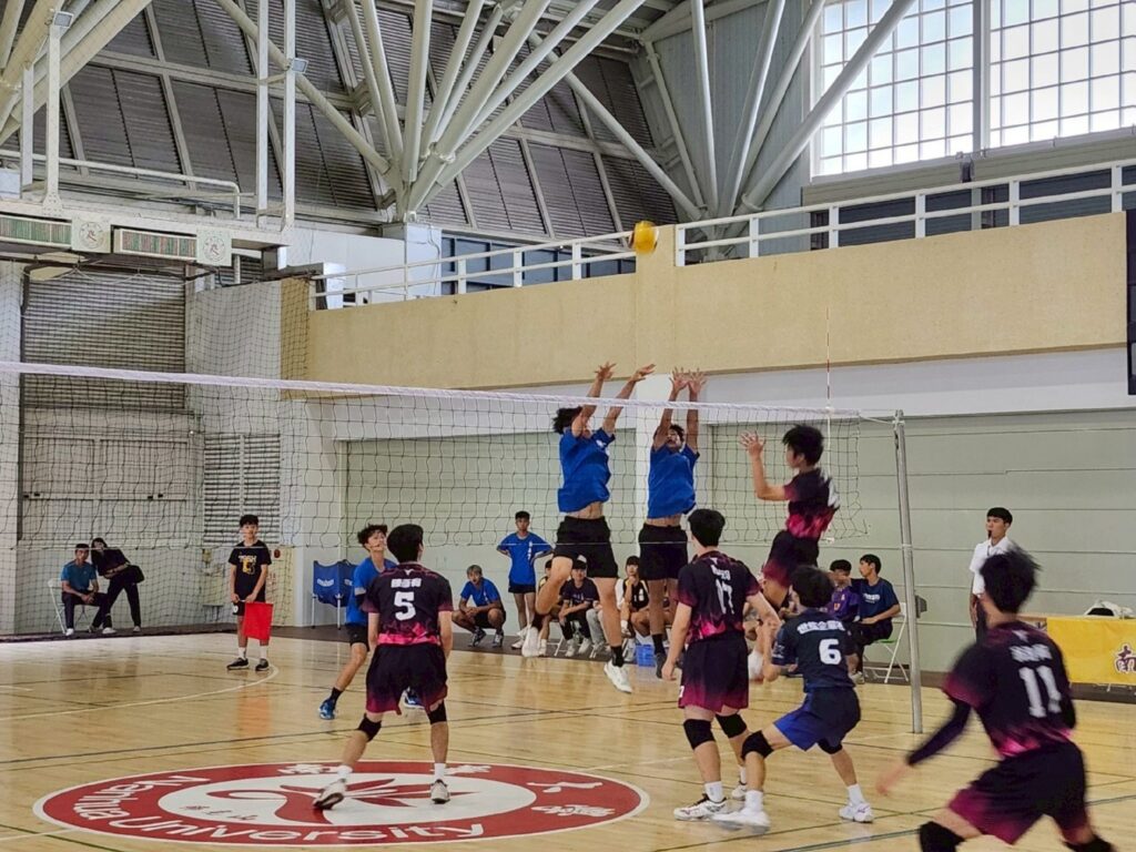 499980154 1122129996598142 8198584876367742955 n