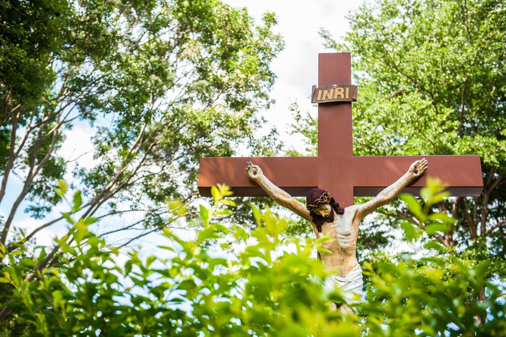 50220589777 e8491f8d90 k