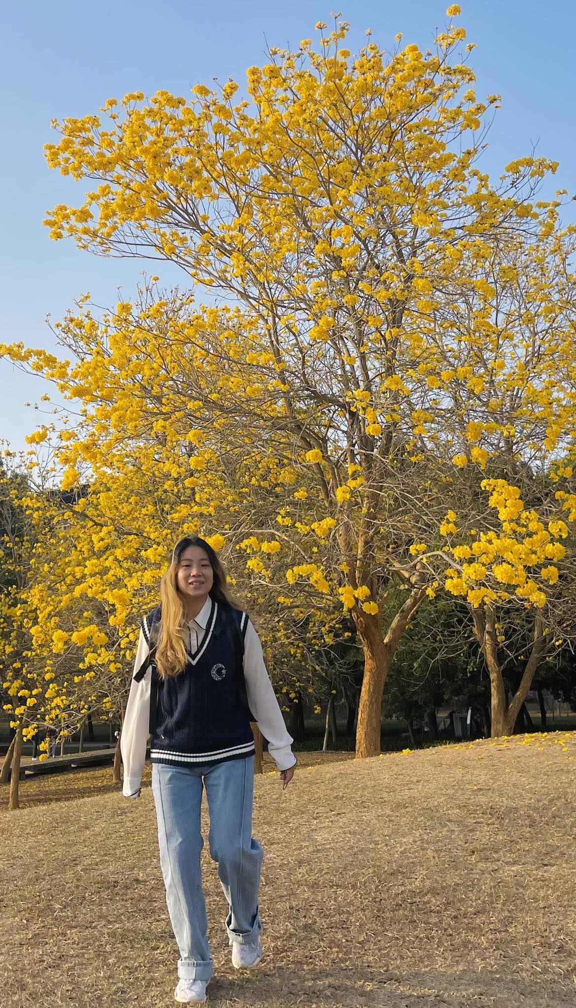 想要在學習中不斷的成長，就來台灣