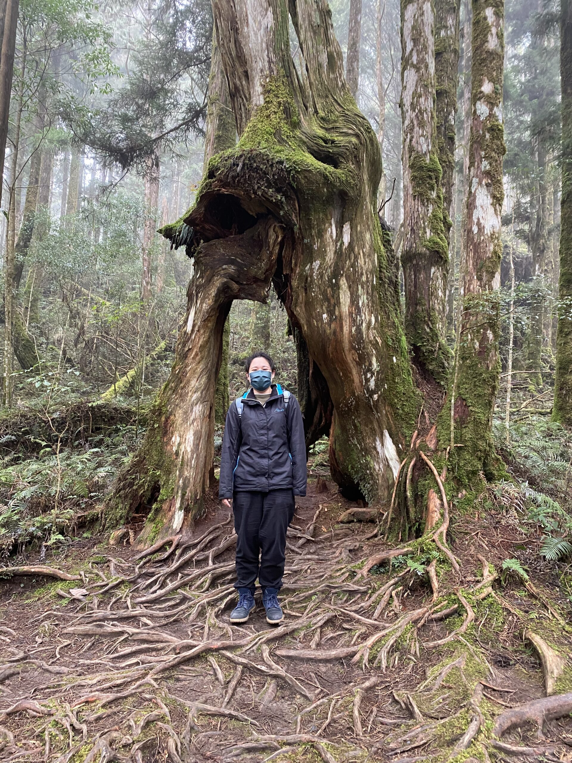 就業之後，重新回到校園充實自我，台灣是個好選擇。