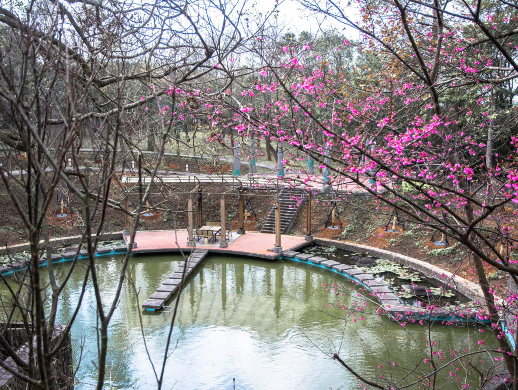 改變，從僑生先修部開始