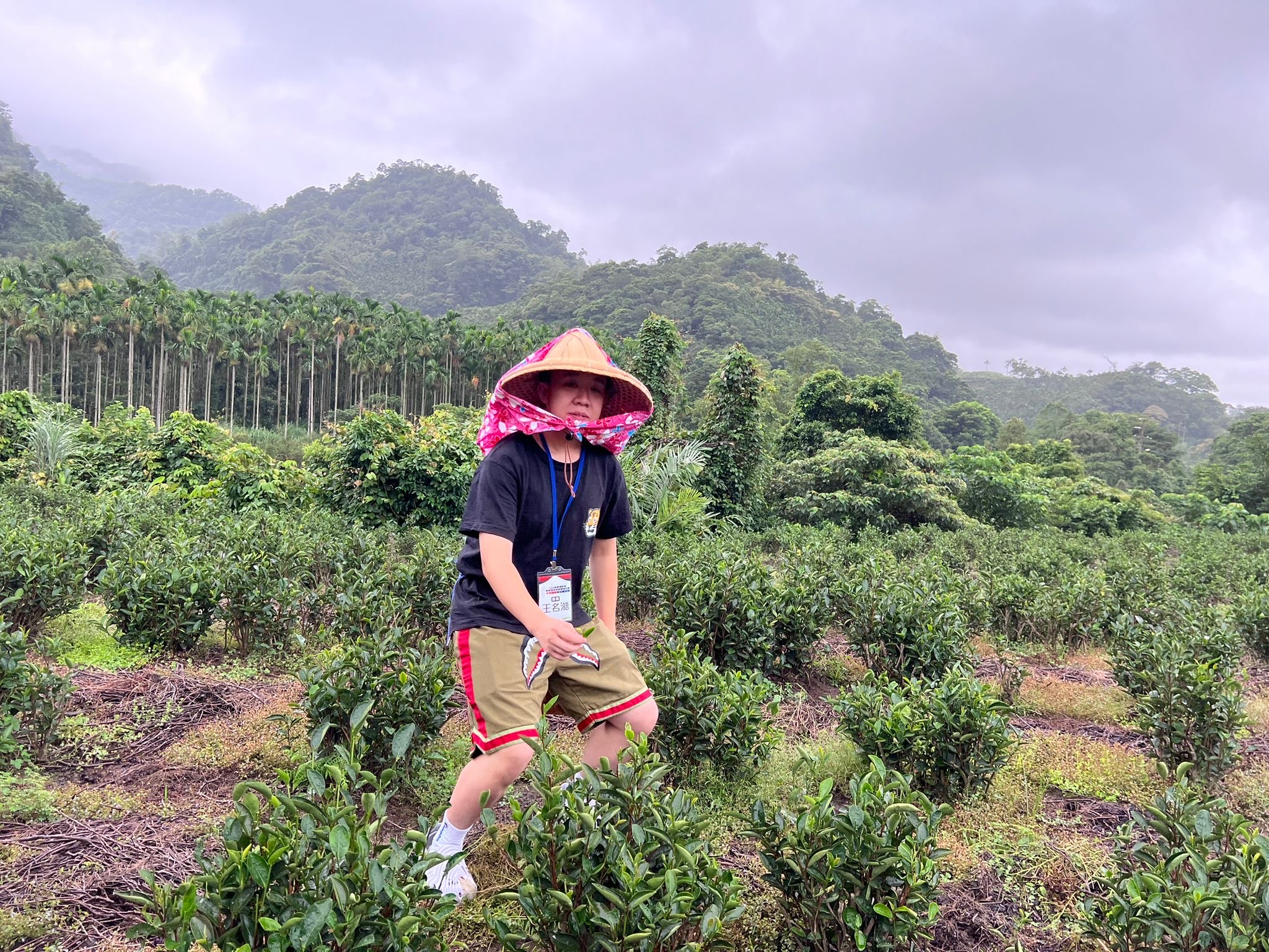 來台就學除了可以體驗當地文化，亦都認識到更多的朋友