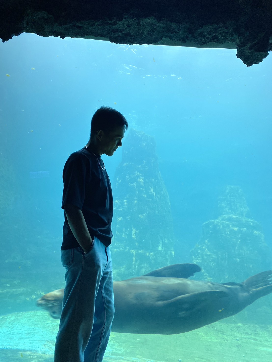 有些事不是看到了才坚持，而是坚持了才会看到希望。