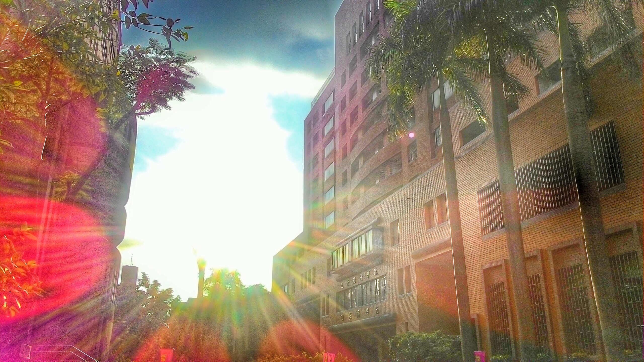 國立臺灣師範大學