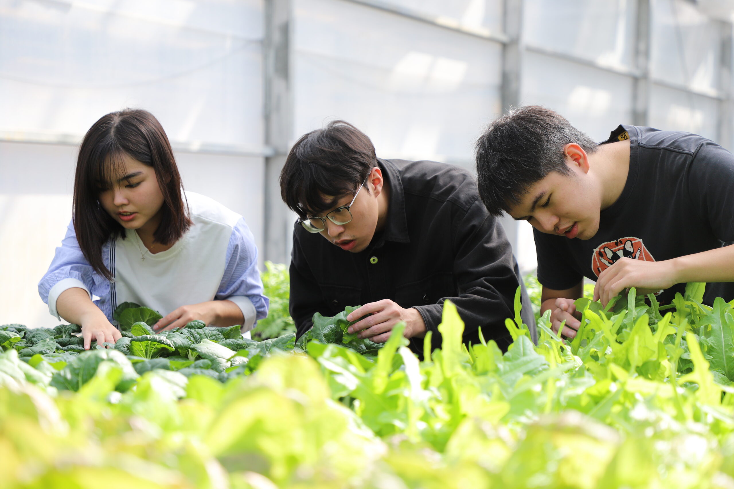 智慧創新　深耕永續農業新未來