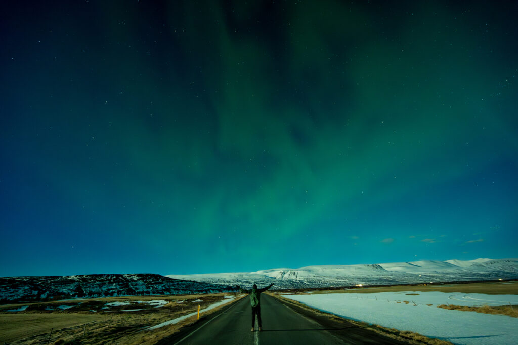 Mczh tw1200x1200 large205986